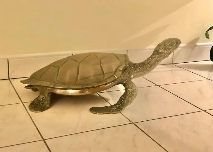 Apartment Splendide Et Spacieux Appartement, Face A La *